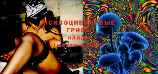 молекула духа Верея