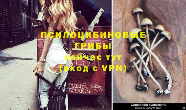 спиды Волосово