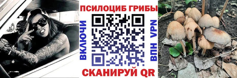 гидра   закладки  Верхоянск  Псилоцибиновые грибы Psilocybine cubensis 